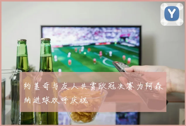 约基奇与友人共赏欧冠决赛为阿森纳进球欢呼庆祝