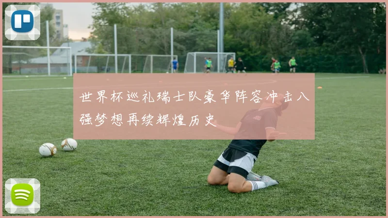 世界杯巡礼瑞士队豪华阵容冲击八强梦想再续辉煌历史